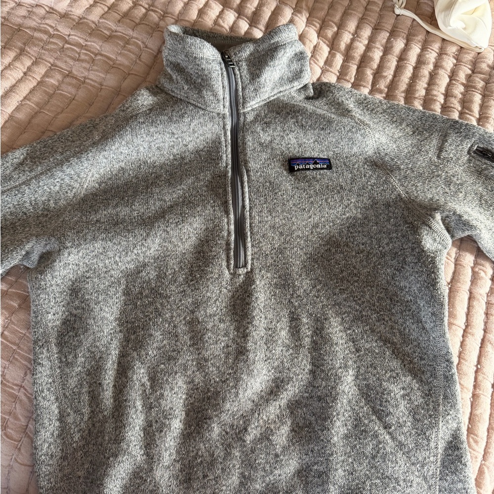 Patagonia Men's Zip-Up Sweater in Heather Gray